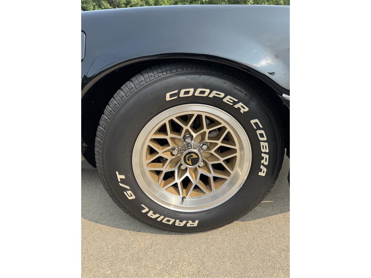 Pontiac-Firebird-trans-am-1979-Black-Tan-8