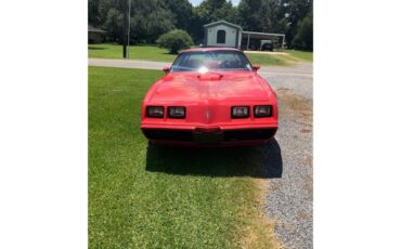 Pontiac-Firebird-trans-am-1979-Red-Red-3