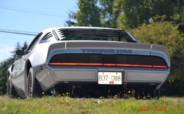 Pontiac-Firebird-trans-am-1979-Silver-OysterCarmine-Red-10