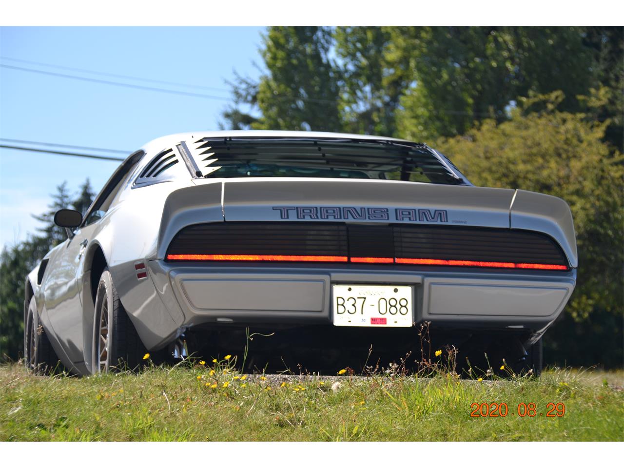 Pontiac-Firebird-trans-am-1979-Silver-OysterCarmine-Red-10