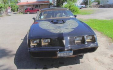 Pontiac-Firebird-trans-am-1980-Sarlight-Black-Camel-Tan-11