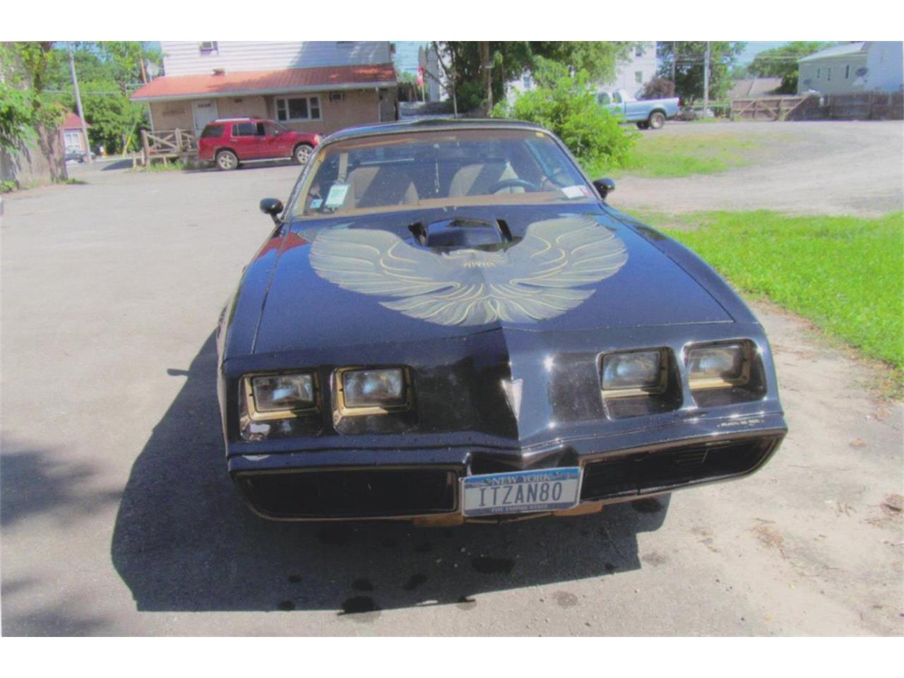 Pontiac-Firebird-trans-am-1980-Sarlight-Black-Camel-Tan-11