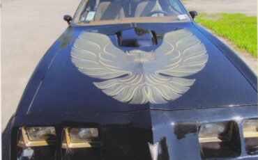 Pontiac-Firebird-trans-am-1980-Sarlight-Black-Camel-Tan-12