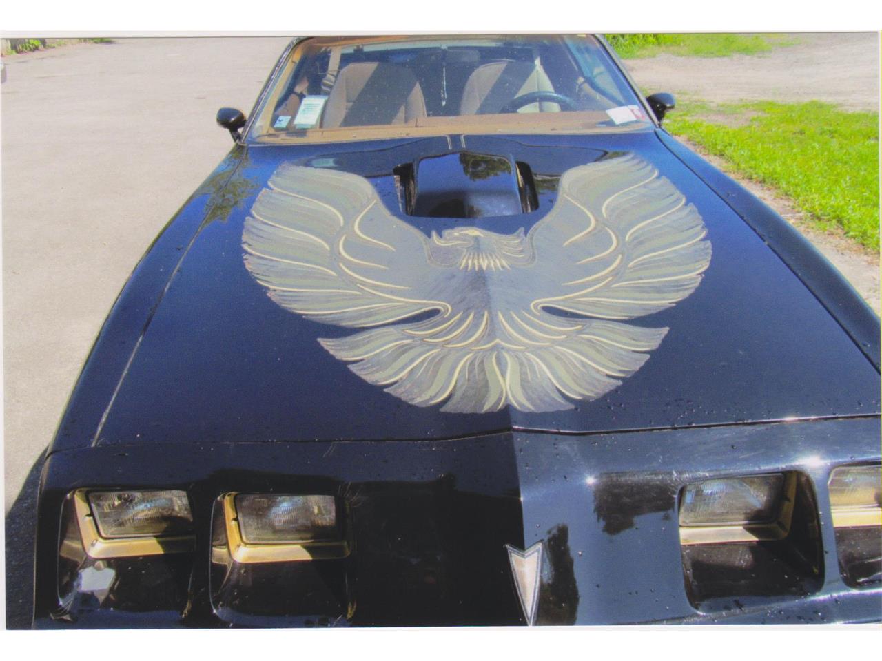 Pontiac-Firebird-trans-am-1980-Sarlight-Black-Camel-Tan-12