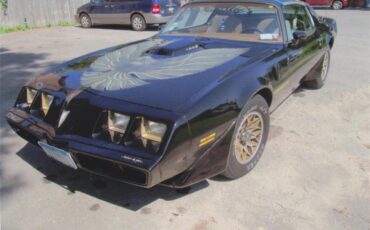 Pontiac-Firebird-trans-am-1980-Sarlight-Black-Camel-Tan-13