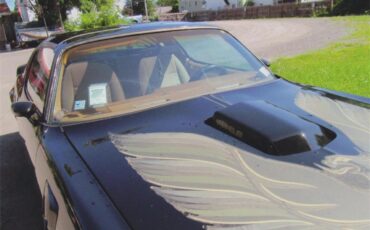 Pontiac-Firebird-trans-am-1980-Sarlight-Black-Camel-Tan-14