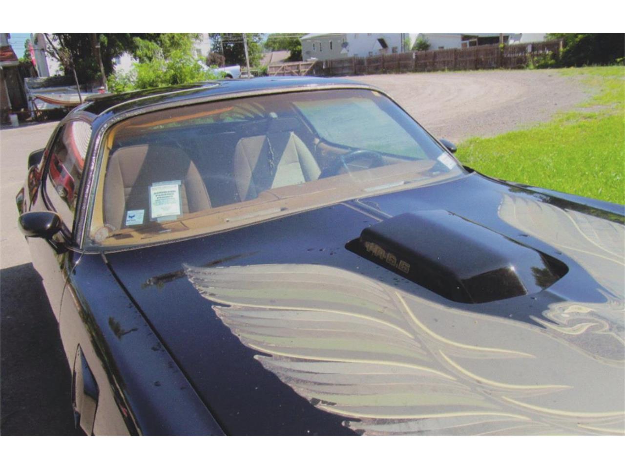 Pontiac-Firebird-trans-am-1980-Sarlight-Black-Camel-Tan-14