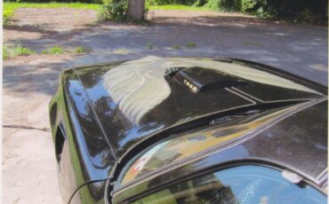 Pontiac-Firebird-trans-am-1980-Sarlight-Black-Camel-Tan-15