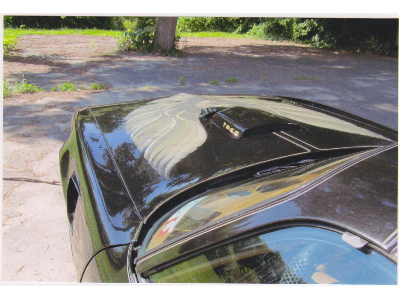 Pontiac-Firebird-trans-am-1980-Sarlight-Black-Camel-Tan-15