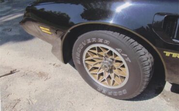 Pontiac-Firebird-trans-am-1980-Sarlight-Black-Camel-Tan-16