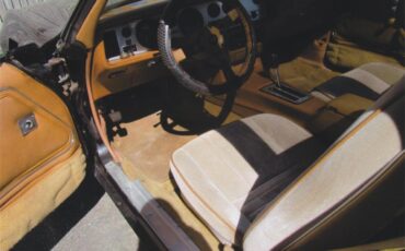 Pontiac-Firebird-trans-am-1980-Sarlight-Black-Camel-Tan-17