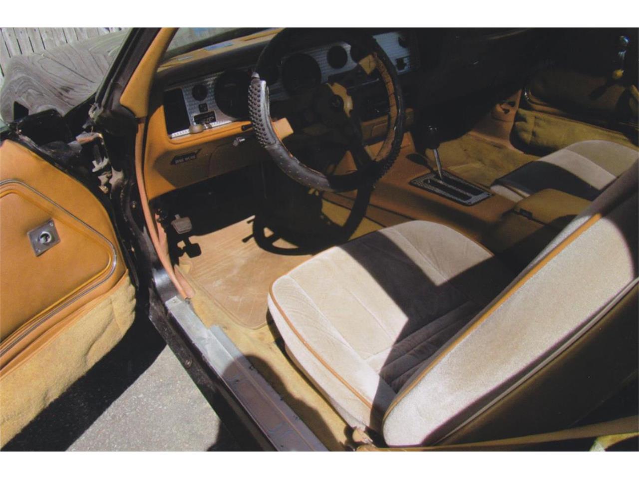 Pontiac-Firebird-trans-am-1980-Sarlight-Black-Camel-Tan-17