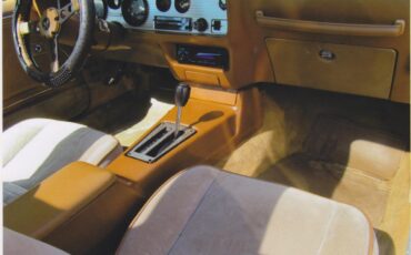 Pontiac-Firebird-trans-am-1980-Sarlight-Black-Camel-Tan-18