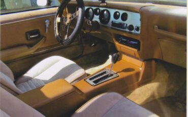 Pontiac-Firebird-trans-am-1980-Sarlight-Black-Camel-Tan-19