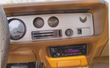 Pontiac-Firebird-trans-am-1980-Sarlight-Black-Camel-Tan-20