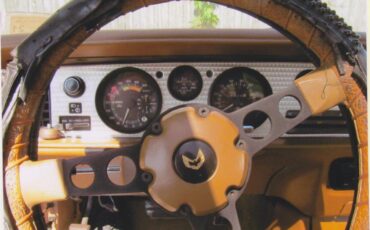 Pontiac-Firebird-trans-am-1980-Sarlight-Black-Camel-Tan-21