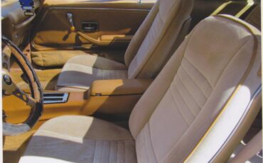 Pontiac-Firebird-trans-am-1980-Sarlight-Black-Camel-Tan-5