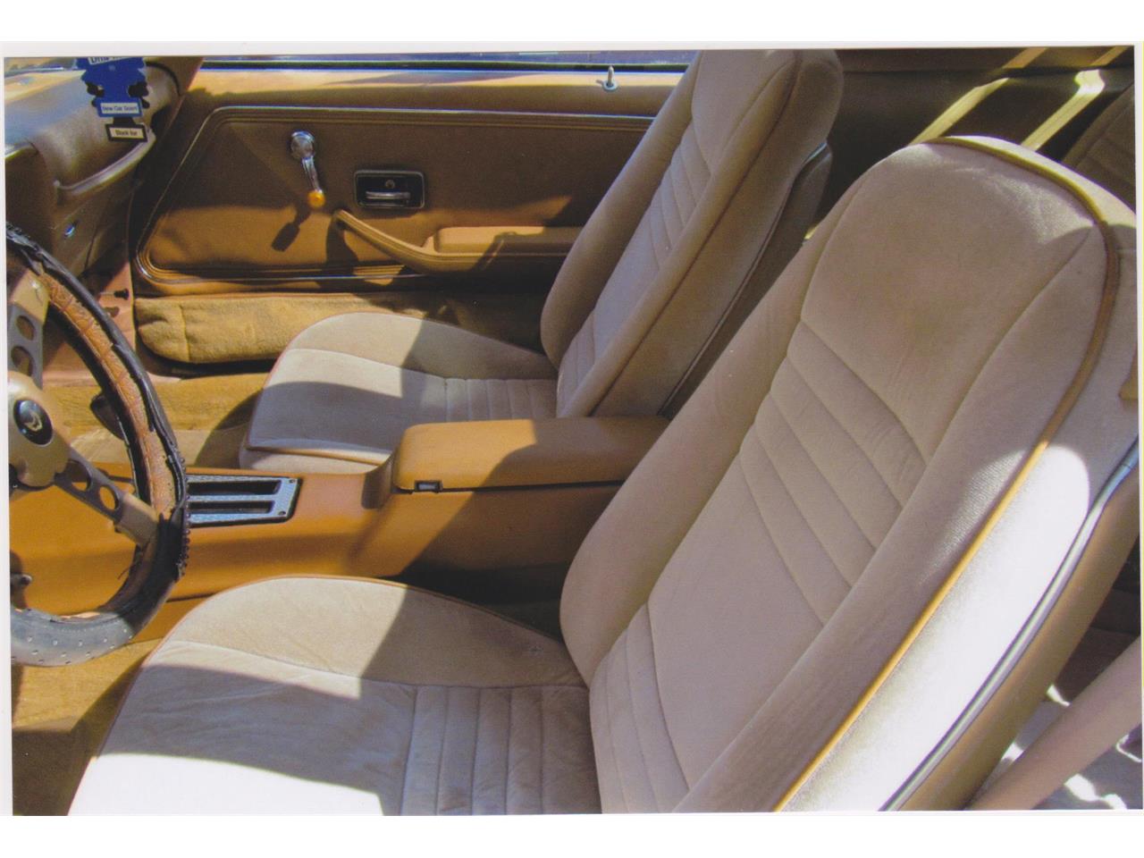 Pontiac-Firebird-trans-am-1980-Sarlight-Black-Camel-Tan-5