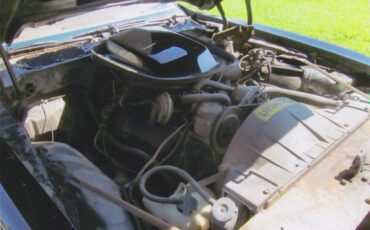 Pontiac-Firebird-trans-am-1980-Sarlight-Black-Camel-Tan-7