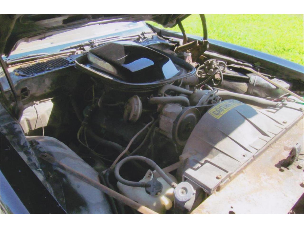 Pontiac-Firebird-trans-am-1980-Sarlight-Black-Camel-Tan-7