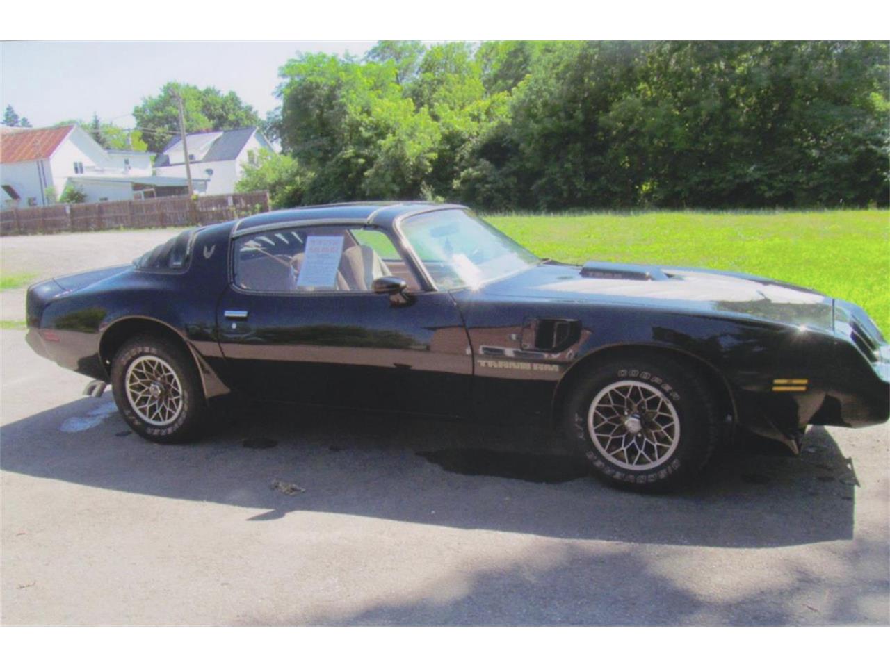 Pontiac-Firebird-trans-am-1980-Sarlight-Black-Camel-Tan-9
