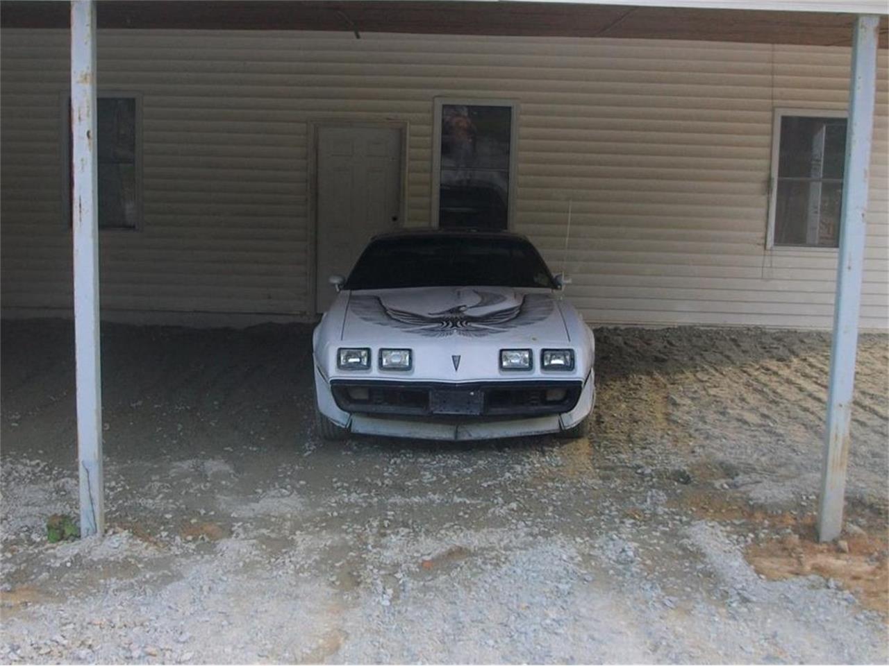 Pontiac-Firebird-trans-am-1981-White-Black-Red-1