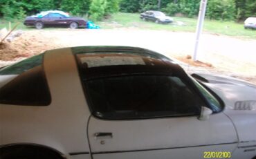 Pontiac-Firebird-trans-am-1981-White-Black-Red-3