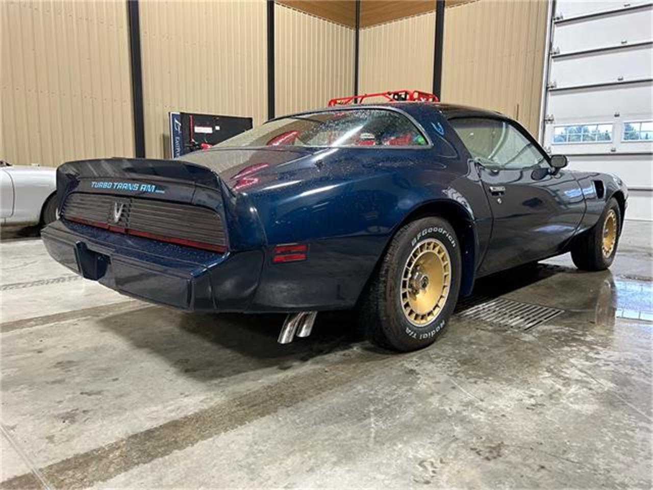 Pontiac-Firebird-trans-am-1981-blue-blue-11