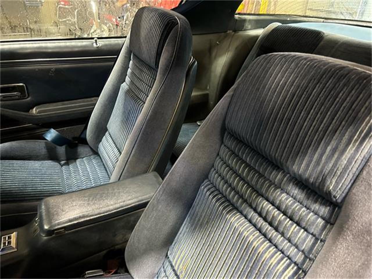 Pontiac-Firebird-trans-am-1981-blue-blue-12