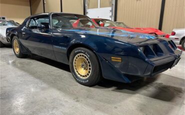 Pontiac-Firebird-trans-am-1981-blue-blue-13