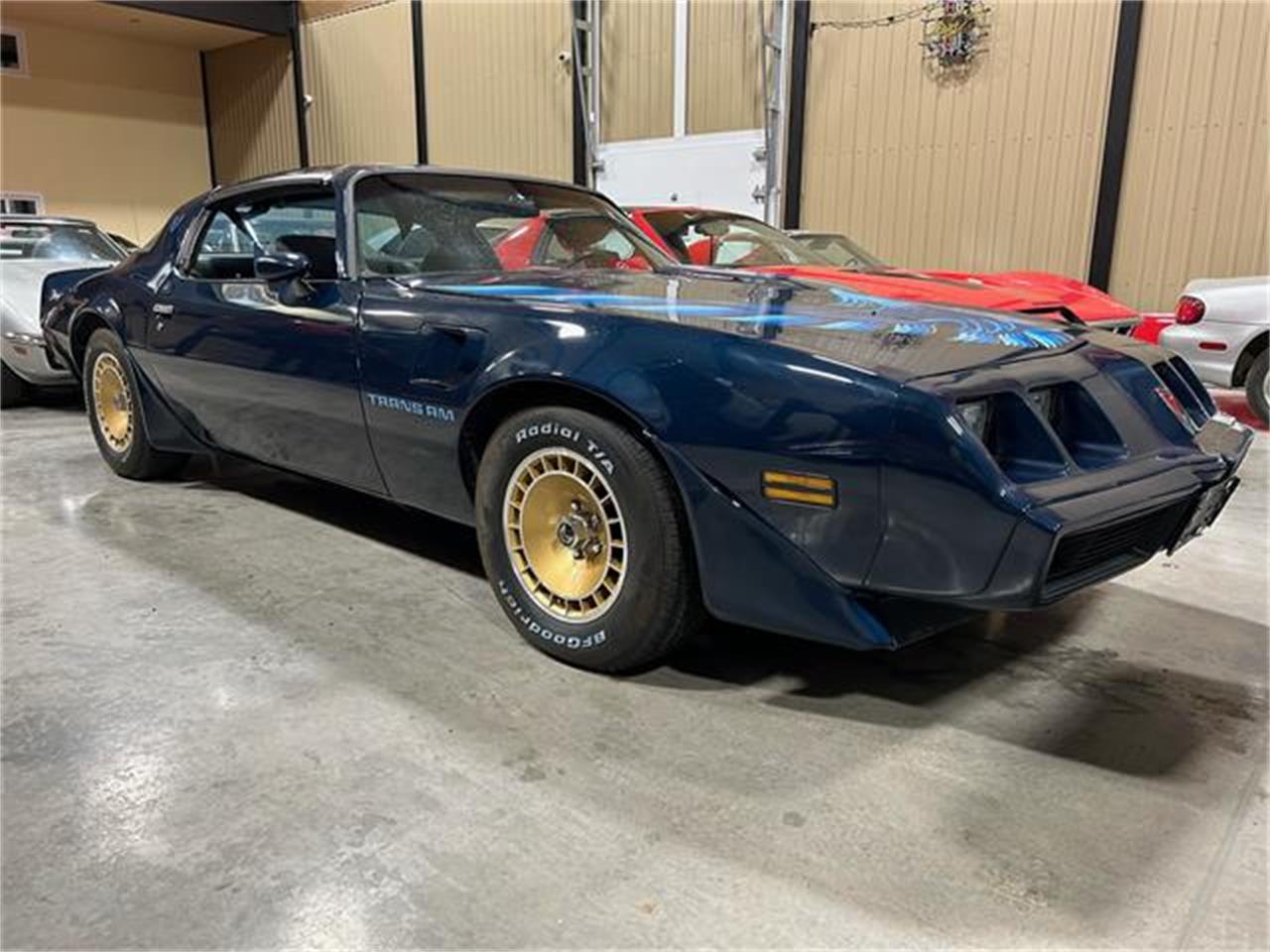 Pontiac-Firebird-trans-am-1981-blue-blue-13