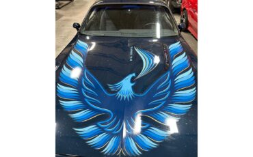 Pontiac-Firebird-trans-am-1981-blue-blue-15