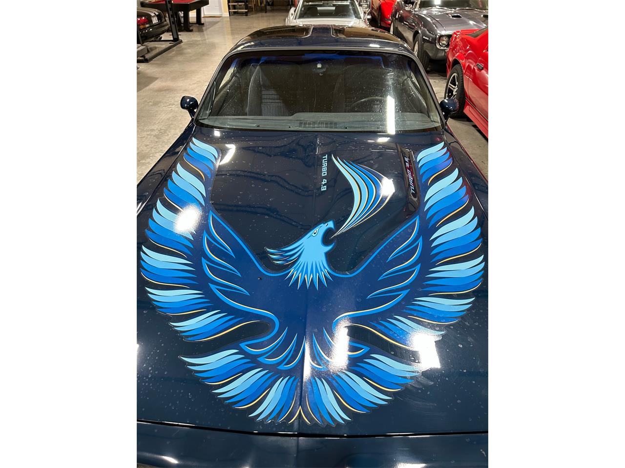 Pontiac-Firebird-trans-am-1981-blue-blue-15