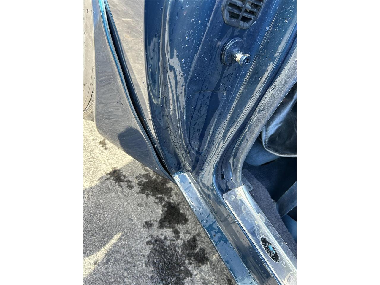 Pontiac-Firebird-trans-am-1981-blue-blue-16