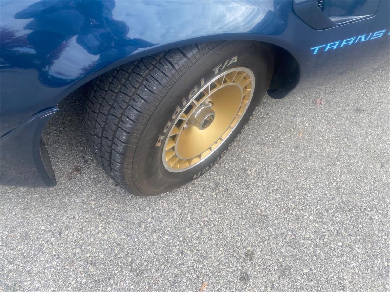 Pontiac-Firebird-trans-am-1981-blue-blue-17