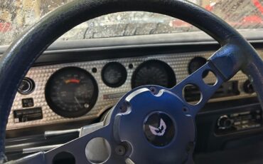 Pontiac-Firebird-trans-am-1981-blue-blue-19
