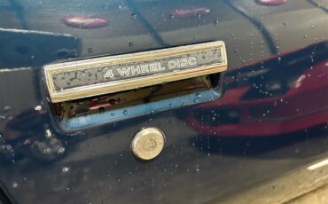 Pontiac-Firebird-trans-am-1981-blue-blue-24