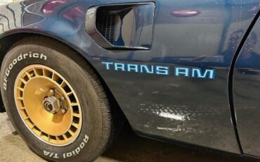 Pontiac-Firebird-trans-am-1981-blue-blue-27
