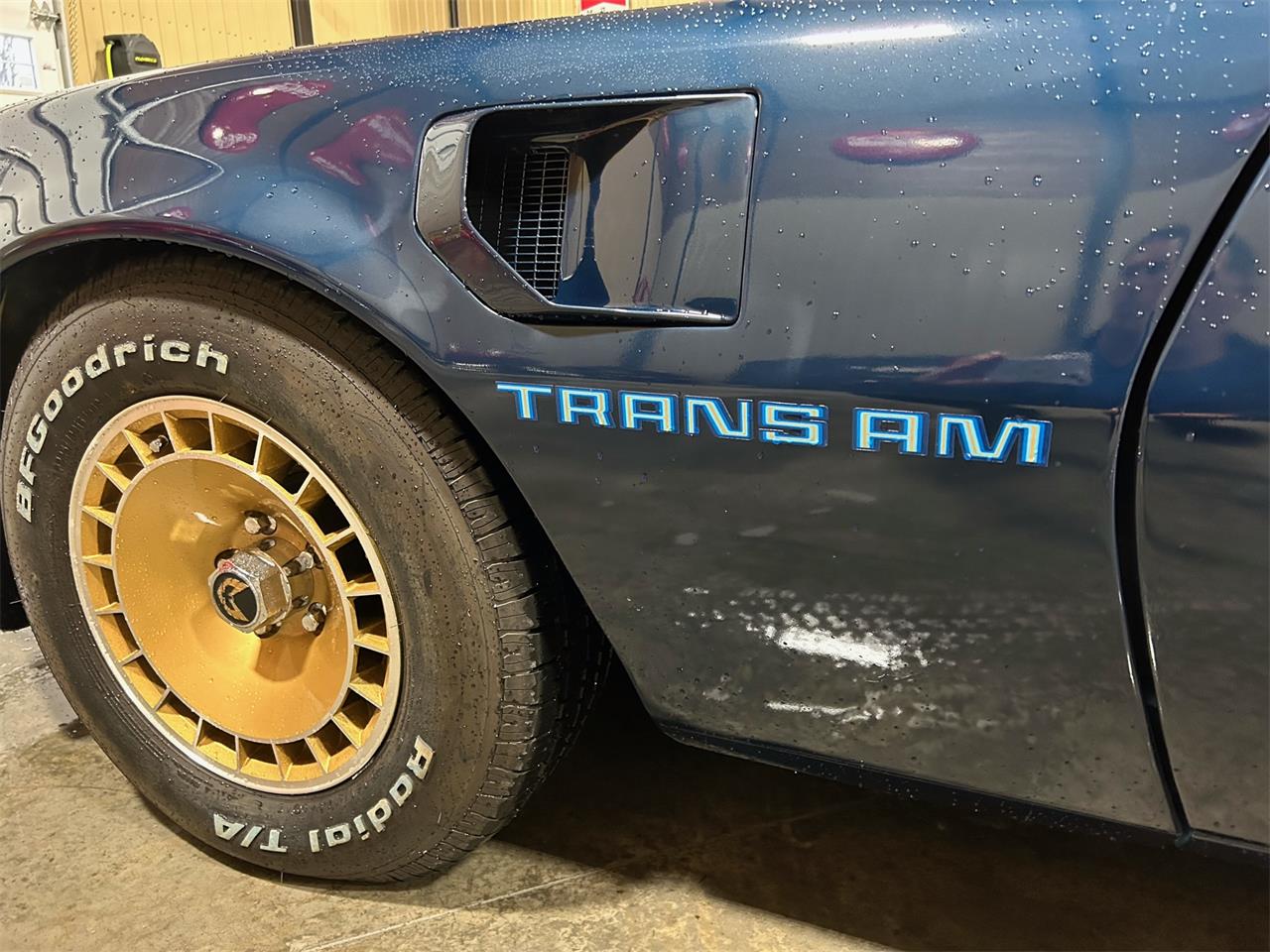 Pontiac-Firebird-trans-am-1981-blue-blue-27
