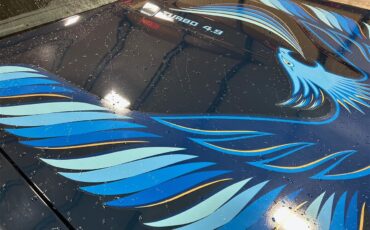 Pontiac-Firebird-trans-am-1981-blue-blue-28
