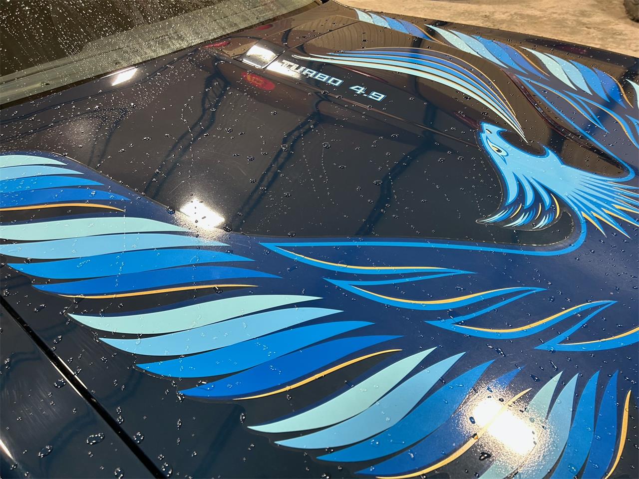 Pontiac-Firebird-trans-am-1981-blue-blue-28