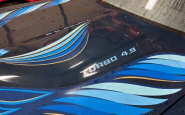 Pontiac-Firebird-trans-am-1981-blue-blue-29