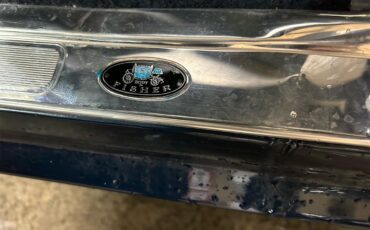 Pontiac-Firebird-trans-am-1981-blue-blue-32
