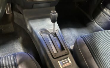 Pontiac-Firebird-trans-am-1981-blue-blue-34