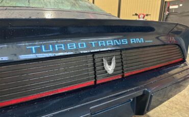 Pontiac-Firebird-trans-am-1981-blue-blue-36
