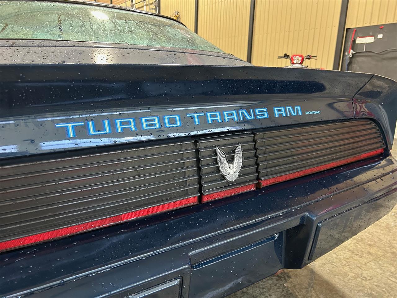 Pontiac-Firebird-trans-am-1981-blue-blue-36