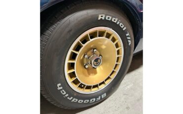 Pontiac-Firebird-trans-am-1981-blue-blue-48