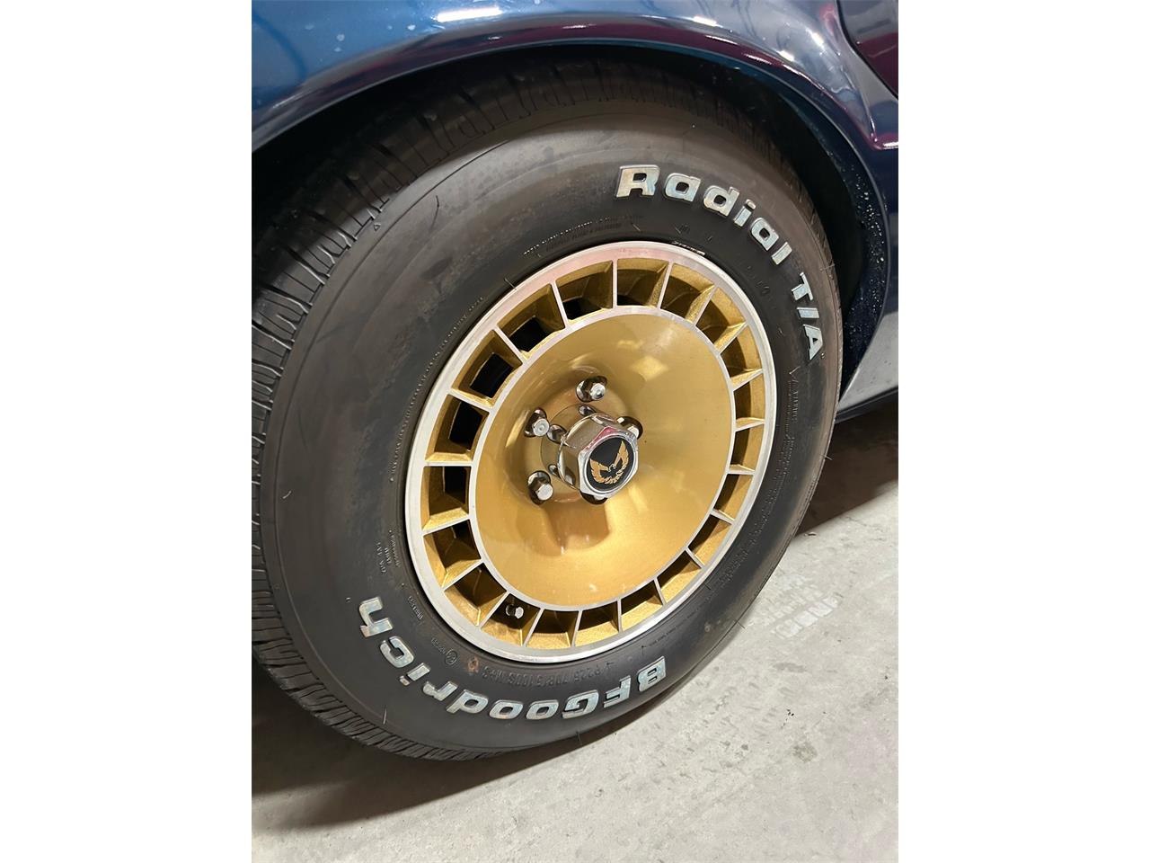 Pontiac-Firebird-trans-am-1981-blue-blue-48