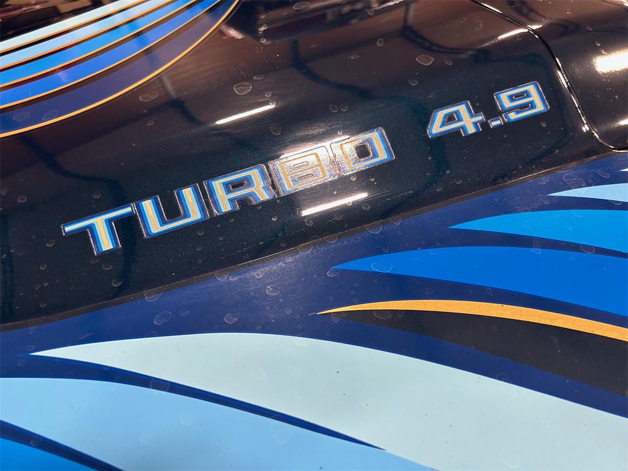 Pontiac-Firebird-trans-am-1981-blue-blue-49