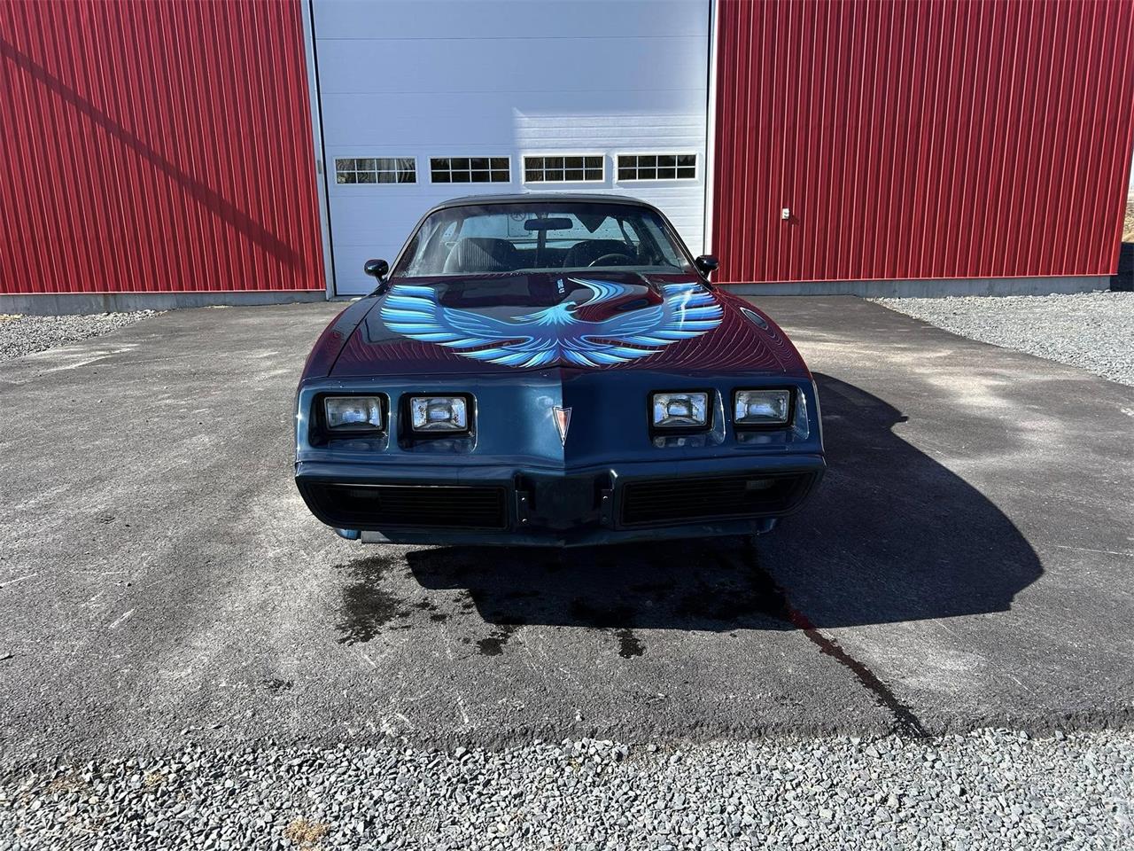 Pontiac-Firebird-trans-am-1981-blue-blue-52
